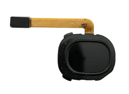 Original Samsung Galaxy A20 Fingerprint Sensor Flex Cable Price in Bangladesh Samsung Galaxy A20 Fingerprint Flex Cable Samsung Galaxy A20 Rear Fingerprint Sensor Samsung Galaxy A20 Fingerprint Button Flex Original Samsung Galaxy A20 Fingerprint Scanner Flex Buy Samsung Galaxy A20 Fingerprint Flex Cable Samsung Galaxy A20 Fingerprint Replacement MS Phone Lab Samsung Galaxy A20 Fingerprint Sensor Flex Cable